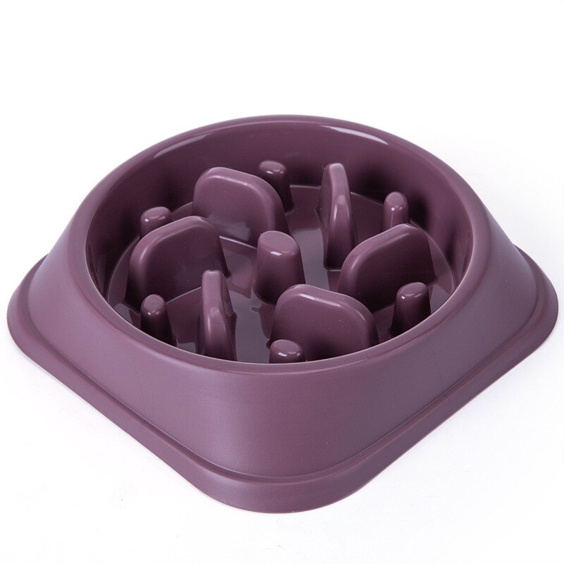 Maze Feeder Bowl