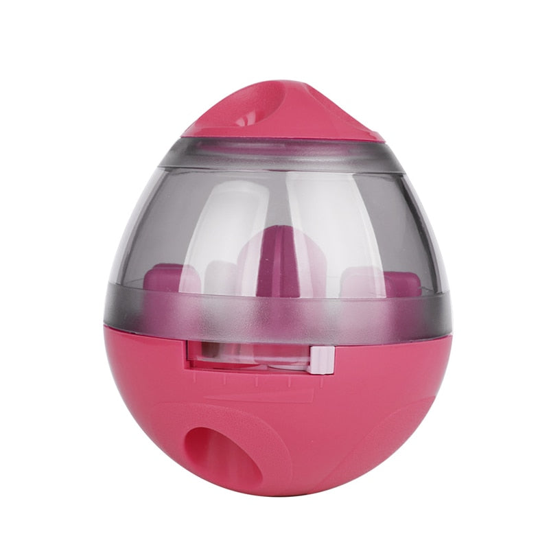 IQ Treat Dispenser Toy