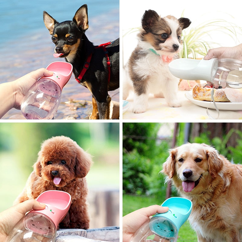 Portable Pet Feeder Bottle